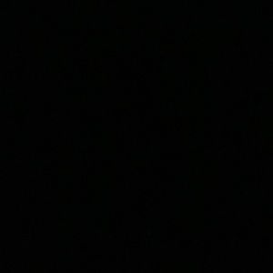 Meet your Posher, Gee